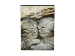 Agenda 2021 my favourite friends cats