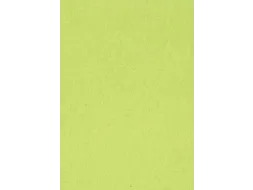 Gekleurd Tekenpapier Lichtgroen A4 120g