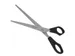 Ciseaux Westcott Buro 171mm inox manche plastique