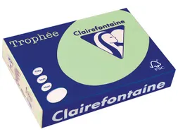Trophée Pastel gekleurd papier A4 80 gram 500vel Natuurgroen
