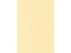 Decadry Structuurpapier Champagne A4