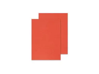 Dekblad A4 Rood Lederlook 250 Grams Pak 100 Stuks - 1