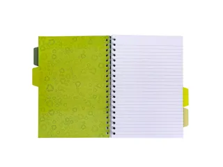 Projectboek Pukka Pad Recycled B5 lijn 4-tabs 200 pagina's 80gr groen - 6