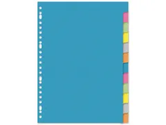 Tabblad Kangaro A4 blanco karton 220gr assorti 23-gaats 12-delig