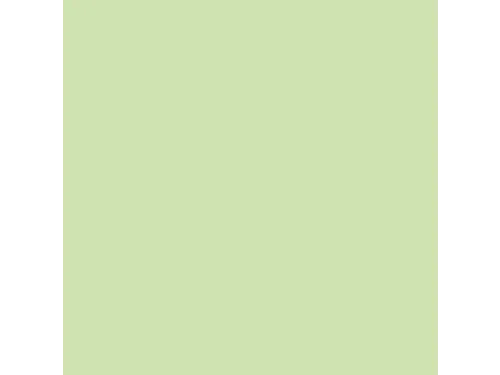 Inapa Tecno colors Gekleurd papier A4 midden groen 80 gram 500vel