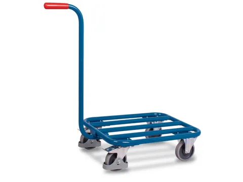 Platformwagen Duwstang 250kg Laadvlak 605x500mm Stalen Buis