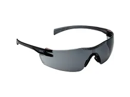 Veiligheidsbril Arco Mistral Grey