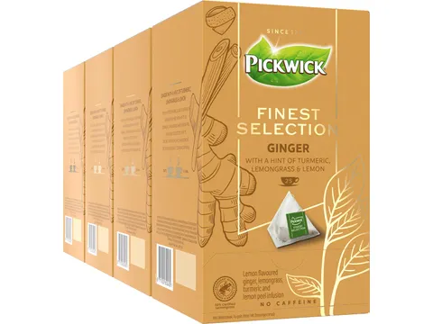 Thee Finest Selection Gember 25 Zakjes