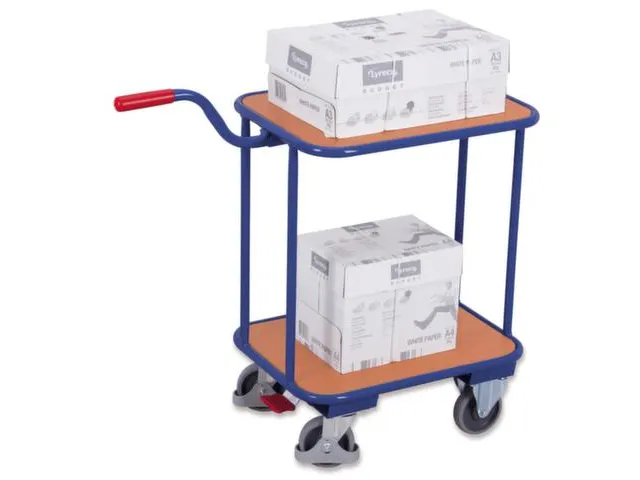 Platformwagen Duwstang 200kg Laadvlak 605x450mm 4 Wielen