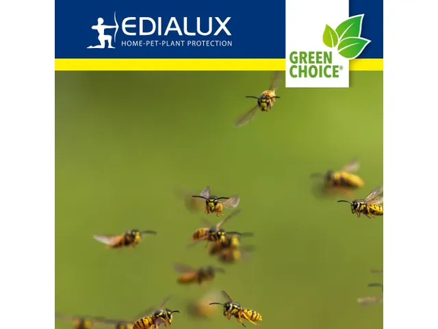 Herbruikbare wespenval met 500 ml natuurlijke lokvloeistof