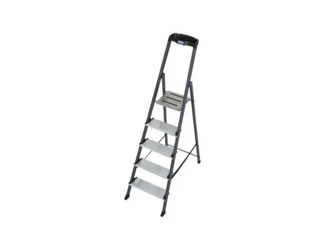 Krause Trapladder Eenzijdig 5Treden Bordes M. Antislip Elementen Krause Trapladder Eenzijdig 5Treden Bordes M. Antislip Elementen