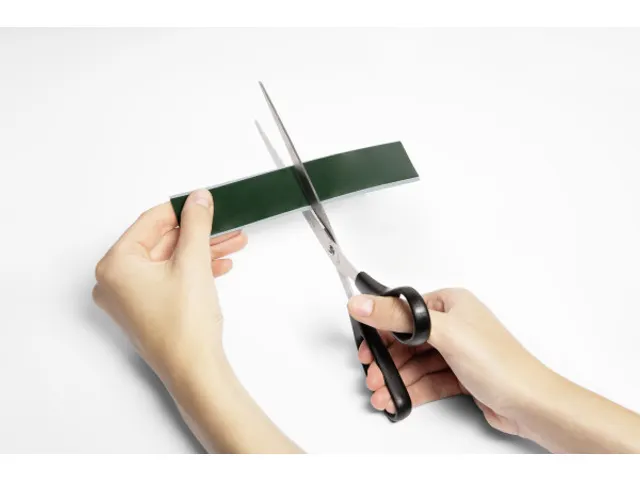 Metaalband met 10 magneten Wit 5 Meter