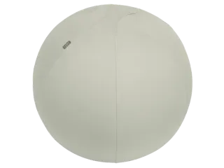 Leitz Ergo actieve zitbal anti-rol met stop-functie 65cm lichtgrijs - 1