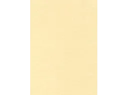 Decadry Structuurpapier Champagne A4