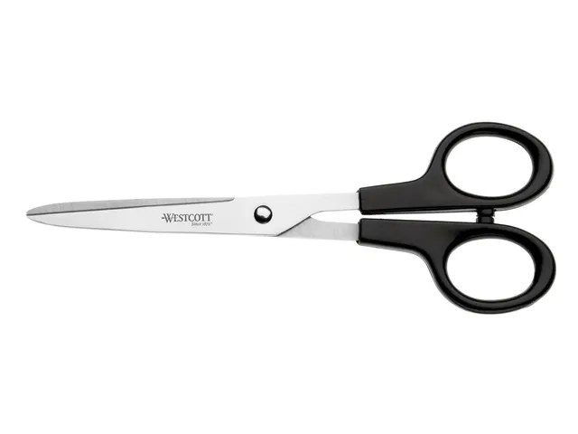 Ciseaux Westcott Buro RVS 17,1 cm poignées en plastique dans le sac