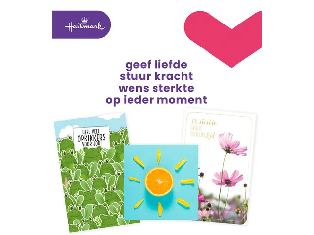Wenskaart Hallmark Business Box beterschap navulset à 12 stuks