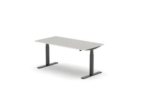 Elektrisch ihv bureau,HxBxD 650-1310x1600x800mm,blad lichtgrijs