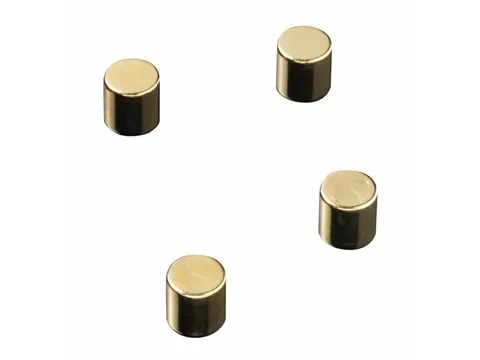 Glasbordmagneten Naga 10x10xmmcylinder set a 4st. goud