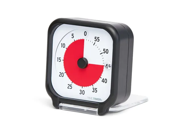 Time Timer Original Pocket zwart