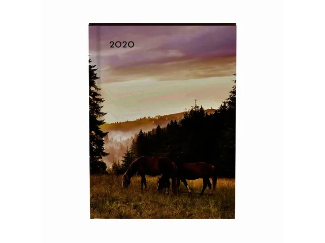 Agenda 2020 Lannoo My favourite friends horse paars