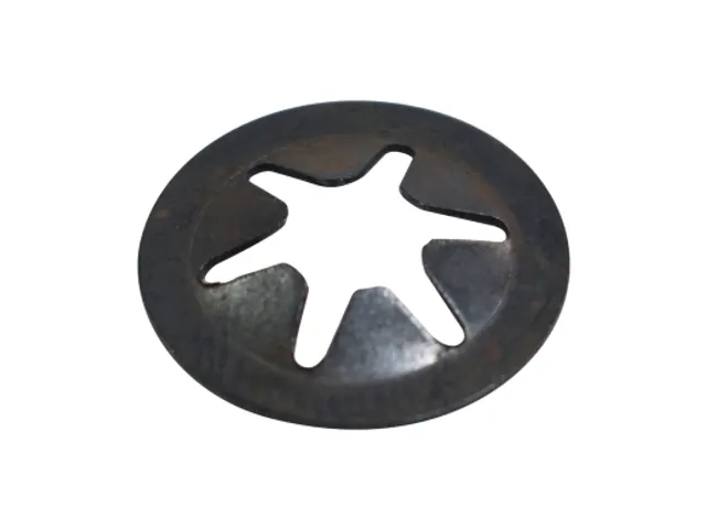 Creator 3 / Creator 4 Ptfe Washer