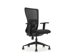 Ergonomische Bureaustoel Arbo Goedgekeurd NEN-EN 1335 Zwart Net Rug