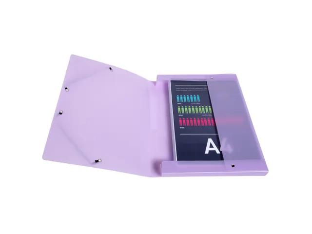 Boite de classement Exabox Dos 25mm Polypropylène 7/10e Chromaline pa