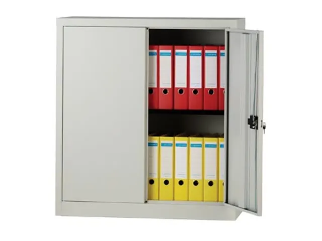 Bisley Draaideurkast Grijs