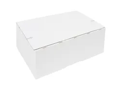 Postpakketbox IEZZY 2 200x140x80mm wit