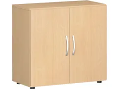 kantoorkast met openslaande deuren HxBxD 752x800x420mm hout beuken