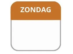 LabelLORD PL Dagetiket Zondag 25x25mm Bruin Flushlabel 1000 stuks
