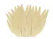 Couteau bois Kangaro 200 pièces 160mm biodégradable