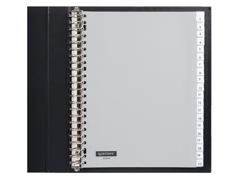 Tabbladen Quantore A4 23-Gaats 20-Delig Met Venster Grijs Pp