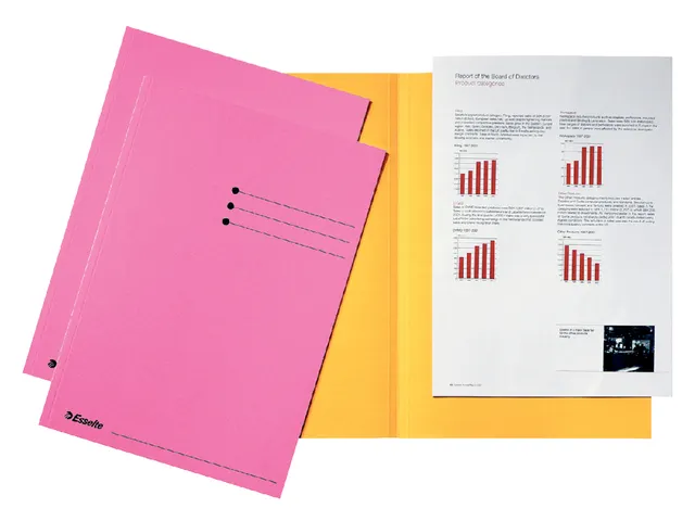 Inlegmap A4 Esselte Karton Roze