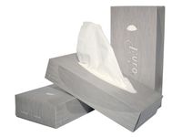 Facial tissues Euro 2-laags cellulose 21 x 21 cm doos 100 stuks