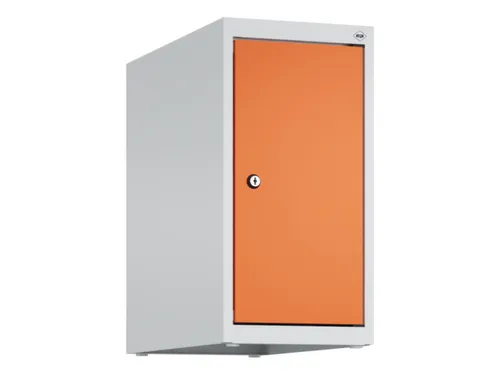 opzetkast,v. locker,1vak.,vak B 250mm,HxBxD 500x250x500mm,vleugeldeur