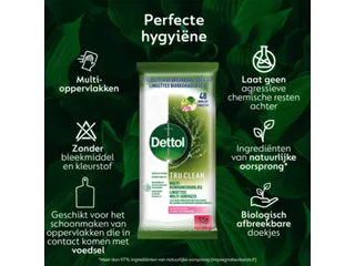 Dettol Reinigingsdoekjes TruClean Appelbloesem pak van 48 doekjes - 2