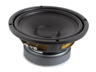 Zwarte Subwoofer Voor Luidspreker 6.5 Inch / 250W - 1