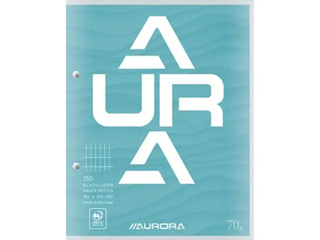 Cursusblok 16,5 X 21 Cm 75 Vel 2-Gaats Geruit