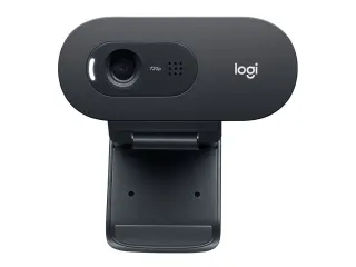 Logitech C505e Webcam - 1