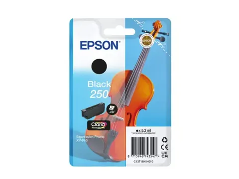 Inktcartridge Epson 250 T16N14 zwart