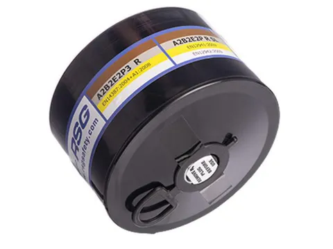 Bx4 Rsg A2B2E2P3 Filter 401216