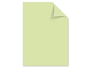 Papier Kangaro A4 80grs lichtgroen pak 100 vel - 1