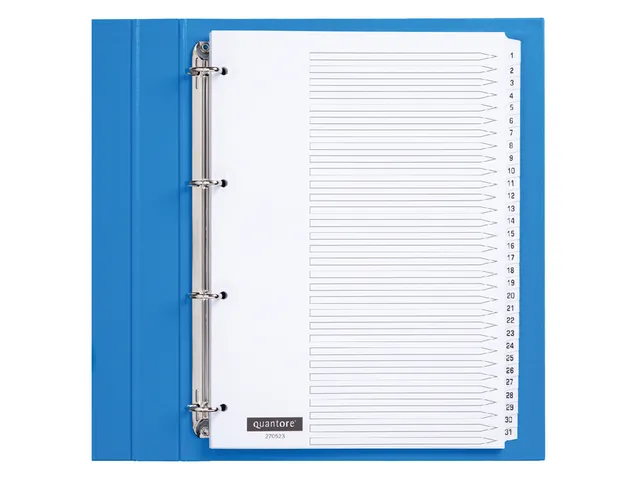 Tabbladen Quantore A4 4-gaats 1-31 genummerd wit karton