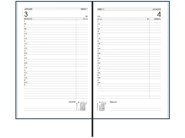 Agenda 2027 Ryam Efficiency Baladek 1dag/1pagina bordeaux