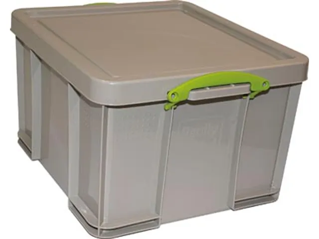 Opbergdoos 42 Liter Gerecycleerd Grijs