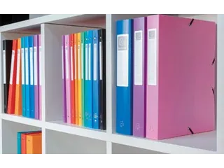 Elastobox A4 Rug Van 25mm PP Assorti Kleuren - 5