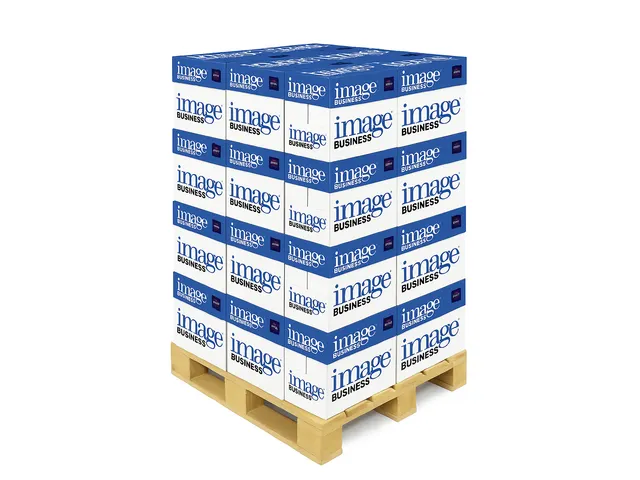 Kopieerpapier Image Business A4 80 Gram Wit Halve Pallet