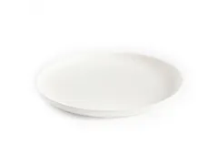 Sier Bagastro Bord Rond 240xh15mm 12x40 Stuks