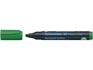 Marker Schneider Maxx 250 permanent beitelpunt groen - 2